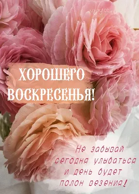 Картинки \"Удачного воскресенья\" (50 открыток) • Прикольные картинки и  позитив