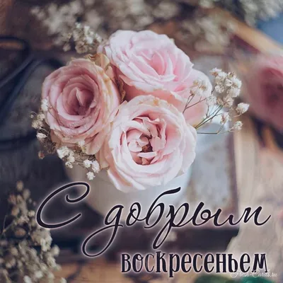 Картинки С ВОСКРЕСЕНЬЕМ ❤️ Доброе утро, С праздником, Хорошего воскресенья,  С Выходным - надписи, стихи, красивые открытки