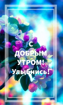 С добрым утром! Улыбнись! | Доброе утро, Лето