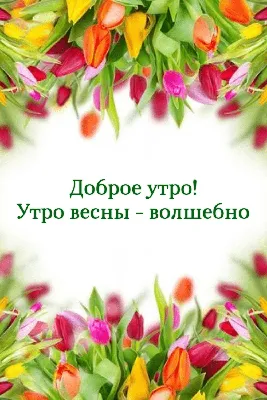 Доброе утро Весна в 2022 г | Доброе утро, Весна, Открытки | Открытки,  Поздравительные открытки, Красные цветочные композиции