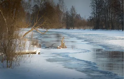 Широкоформатная печать на пленке и холсте