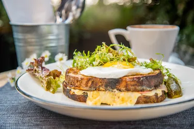 Быстрый завтрак из яиц — 10 вариантов от Ясенсвит