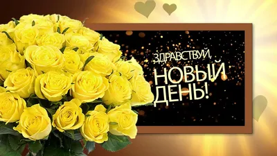 доброгоутрадрузья💕♥️💐#замечательногодня | TikTok