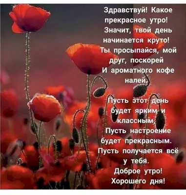 С добрым утром. Желаю сегодня приумножить всё хорошее в своей жизни и  успешно избежать любого ненастья. И пусть это утро.. | ВКонтакте