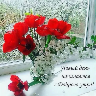 С добрым утром! - Доброе утро/Good morning - Повседневная анимация -  Анимация - GifCool