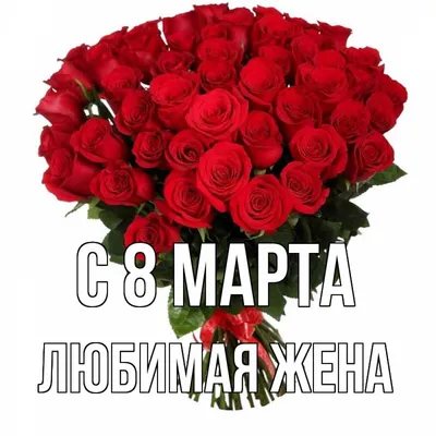 Поздравление любимой жене#8 марта поздравление жене#хочуврекомендации |  TikTok