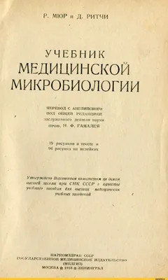 Исторический квартал красных фонарей в Москве и беременные кариатиды