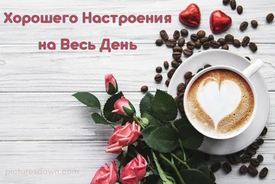 Доброе утро и хорошего дня! — Скачайте на Davno.ru