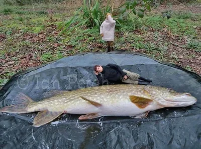 Всем хорошего улова! 🤗🐟 | Instagram