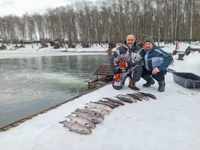 Рыбалка в Атлантическом океане/Хороший улов за 2 часа/Скумбрия, Морской  окунь, Руже/Франция - YouTube