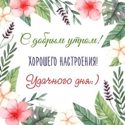 Удачного дня и хорошего настроения! - Лента новостей ДНР