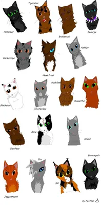 Dovewing. Warriors by Romashik-arts on deviantART | Warrior cats art,  Warrior cats, Warrior cats fan art