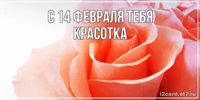 С рожденьем! Счастья, мира Тебе, красотка Ира! | С днем рождения, Рождение,  Поздравительные открытки