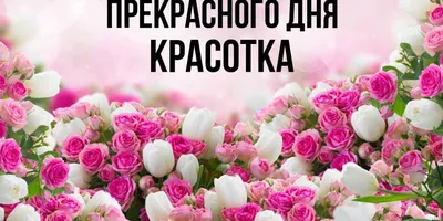 Открытки «С Днём Рождения, красотка!»: 50 картинок