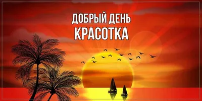 Открытка с именем Красотка Прекрасного дня. Открытки на каждый день с  именами и пожеланиями.