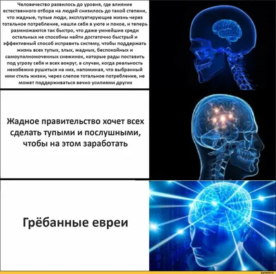 Человечество развилось до уровня, где влияние естественного отбора на людей  снизилось до такой степ / приколы для даунов / смешные картинки и другие  приколы: комиксы, гиф анимация, видео, лучший интеллектуальный юмор.