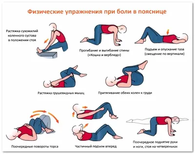 10 лучших упражнений при шейном остеохондрозе: комплекс эффективных  тренировок для спины и шеи, чтобы снять боль, спазмы