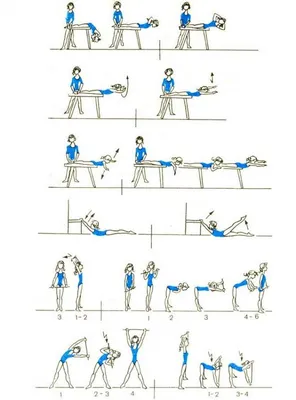 Самые важные упражнения для спины by DMITRYK - Issuu