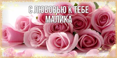 Из Болливуда в Голливуд: Малика Шерават | Кинодивные | Дзен