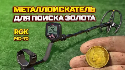 Металлоискатель Garrett ACE 200i купить в Минске и Беларуси