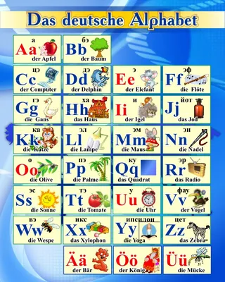 Купить Стенд Немецкий Алфавит с картинками с синих тонах 600*750мм 📄 с  доставкой по Беларуси | интернет-магазин Stendy.by