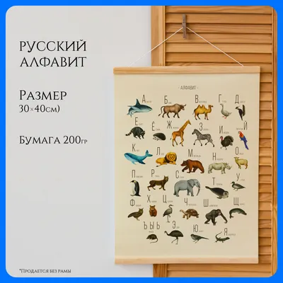 Развивающие карточки Карточки в лапочке Немецкий алфавит ТЦ СФЕРА 26117833  купить за 31 600 сум в интернет-магазине Wildberries