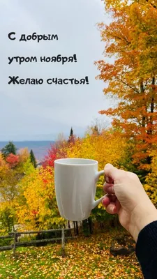 Необычные картинки \"С добрым утром\" 💌✨☕ (235 шт.) | Доброе утро, Смешные  открытки, Юмор о настроении