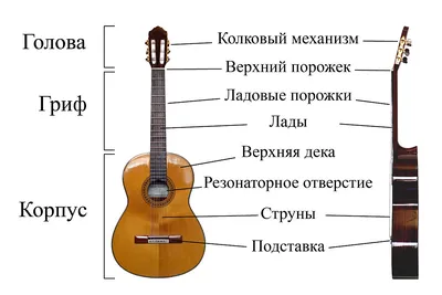 Нотная грамота просто: урок 16 - ноты на гитаре