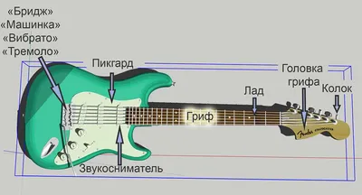 Наклейки на гриф гитары для начинающего гитариста / прозрачные липкие  стикеры / цветные аккорды и ноты , медиаторы - купить с доставкой по  выгодным ценам в интернет-магазине OZON (991446464)