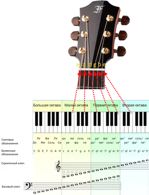 Расположение нот на грифе гитары — SAMESOUND