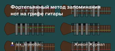 Нотная накладка на гриф гитары и укулеле купить по цене 290 ₽ в  интернет-магазине KazanExpress