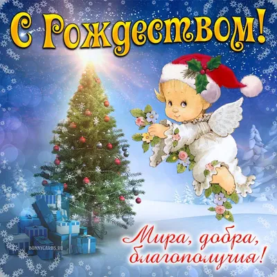 Рождество Христово 2021 — поздравления, открытки и картинки с праздником 25  декабря - Телеграф