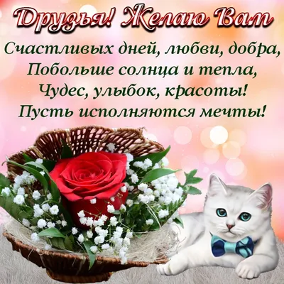 Гифы ✓ Гифочки ✓ И многое другое✓ — ⒼⒾⒻ-подарки 🎁 одноклассников | OK.RU |  Подарки, Милые открытки, Смешные валентинки