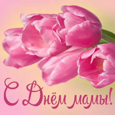 День матери 2022 в Украине - поздравления и открытки - Главред