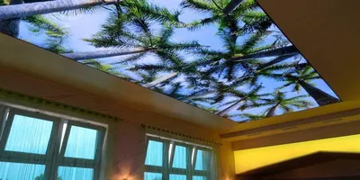 Натяжные потолки 3D в Рязани - необычное решение — 62 ПОТОЛКА
