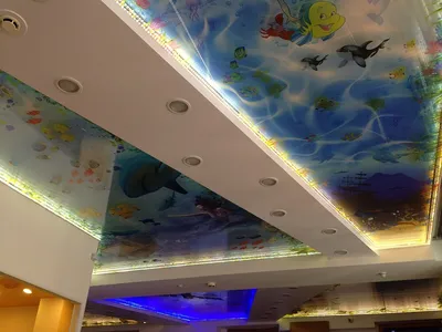 Натяжные потолки 3D в Туле – цена от 8000 ₽, фото потолков с 3д рисунком
