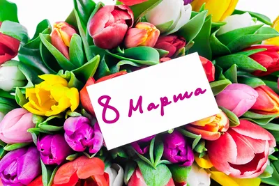 Как мы поздравляли с 8 марта наших мам, бабушек, сестренок и воспитателей!»  - Ошколе.РУ