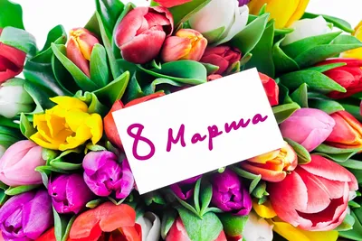 Поздравления с 8 Марта! (4.2.0.1)