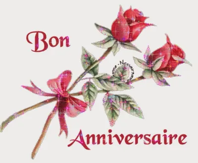 Поздравление с днем рождения на французском языке картинки обои