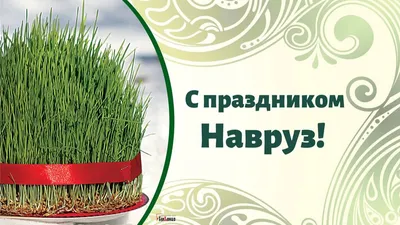 Поздравляем с весенним праздником Навруз! - Интернет на базе беспроводных  сетей Wi-Fi в Ташкенте и регионах Узбекистана – Sola.uz | Интернет провайдер