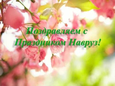 Поздравляем со светлым праздником Навруз! – Федерация Мигрантов России