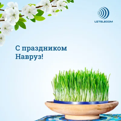 Хочется искренне поздравить с чудесным народным праздником — Наврузом, и  пожелать отличного настроения и хорошего дня. ⠀ Пусть весна… | Instagram