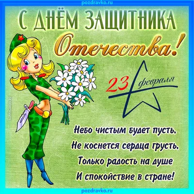 В России отмечают День защитника Отечества – подобрали для вас лучшие  открытки для WhatsApp | 23.02.2023 | Омск - БезФормата