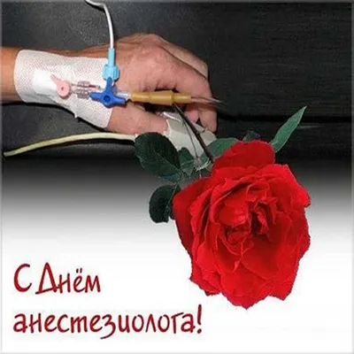 Всемирный день анестезиолога-реаниматолога | Территориальный центр медицины  катастроф Ивановской области