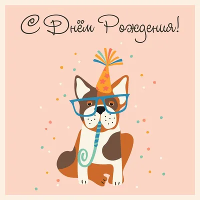 Собака в очках: открытки с днём рождения - инстапик | Открытки, С днем  рождения собака, День рождения