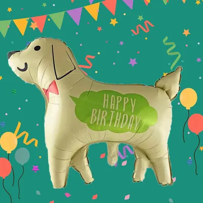 Кружка CoolPodarok \"Прикол. День рождения. С Днем рождения, Собака  сутулая\", 330 мл, 1 шт - купить по доступным ценам в интернет-магазине OZON  (318692811)