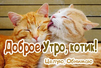 Доброе утро Любимый - YouTube