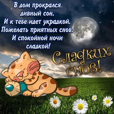 Спокойной ночи, Любимая! - YouTube