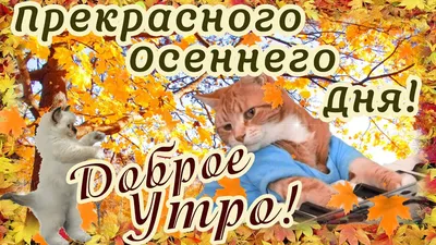 Осенние картинки \"Доброго утра!\" (357 шт.)