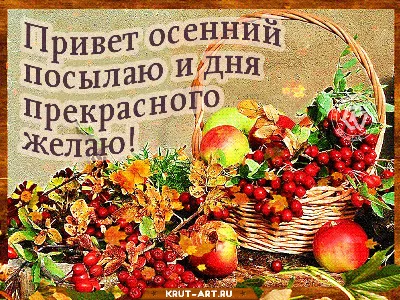 Доброе утро. Прекрасного осеннего дня | Доброе утро, Живописные пейзажи,  Утренние цитаты